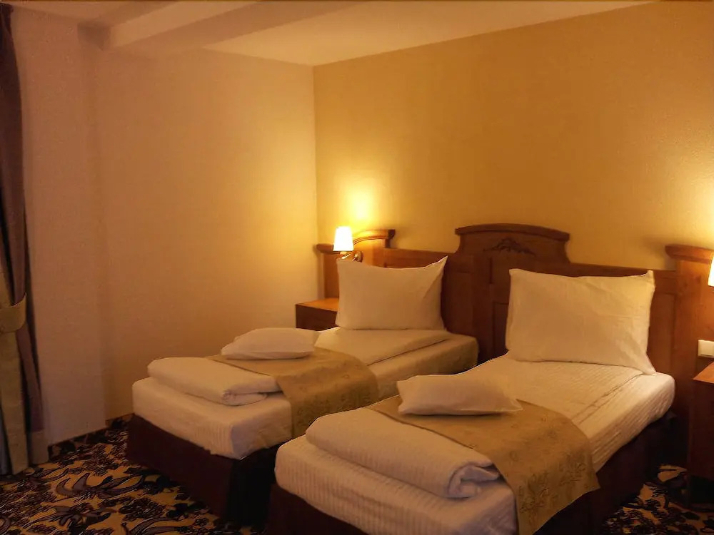 Hotel Casa Turistilor Paltinis