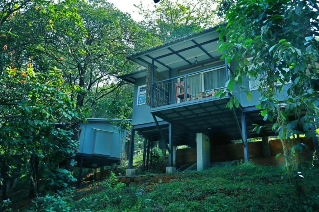 Wayanad Wild - A CGH Earth Experience