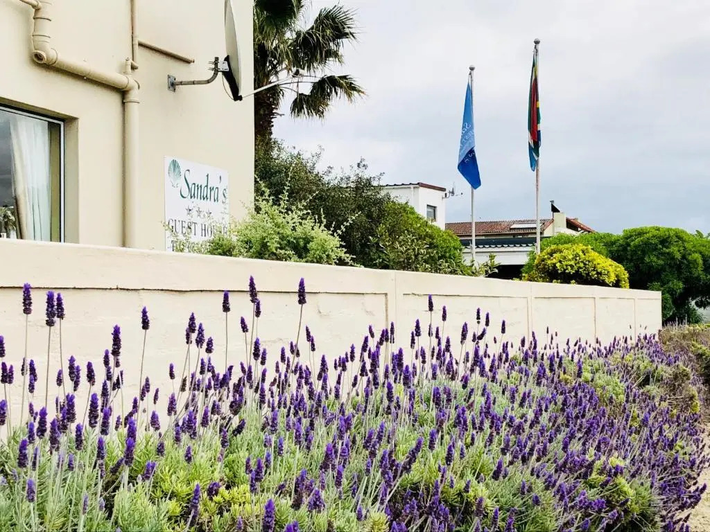 Sandras Guest House