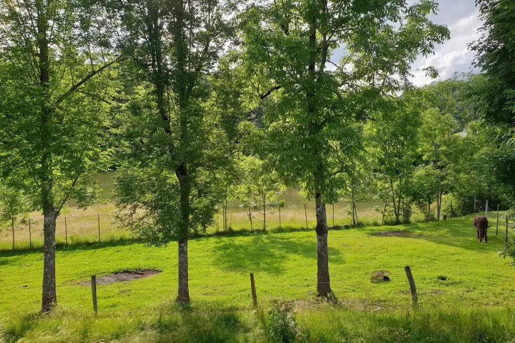 Appartement Villa le plateau.