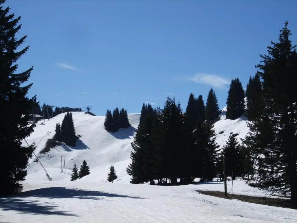 Chalet Montagne 11 P Grand Massif 100 M Telecabine