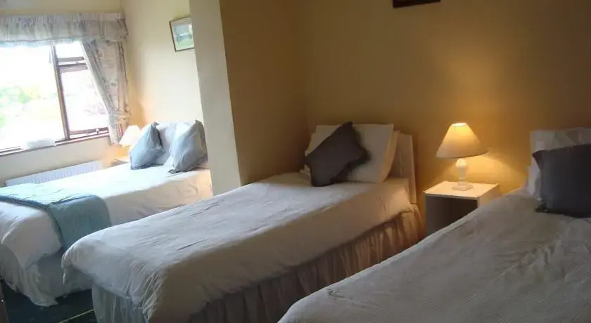 Knockmoy House B&B