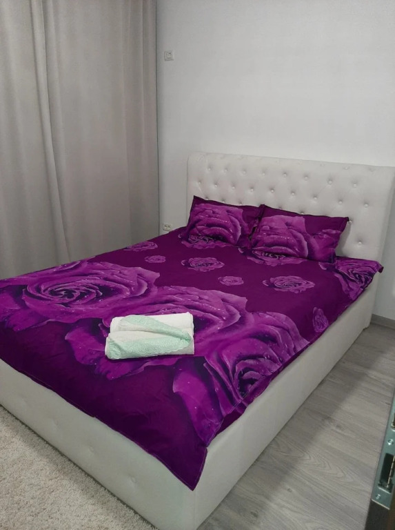 Inviting 1-bed House in Roșu