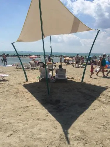 Sun-Palm