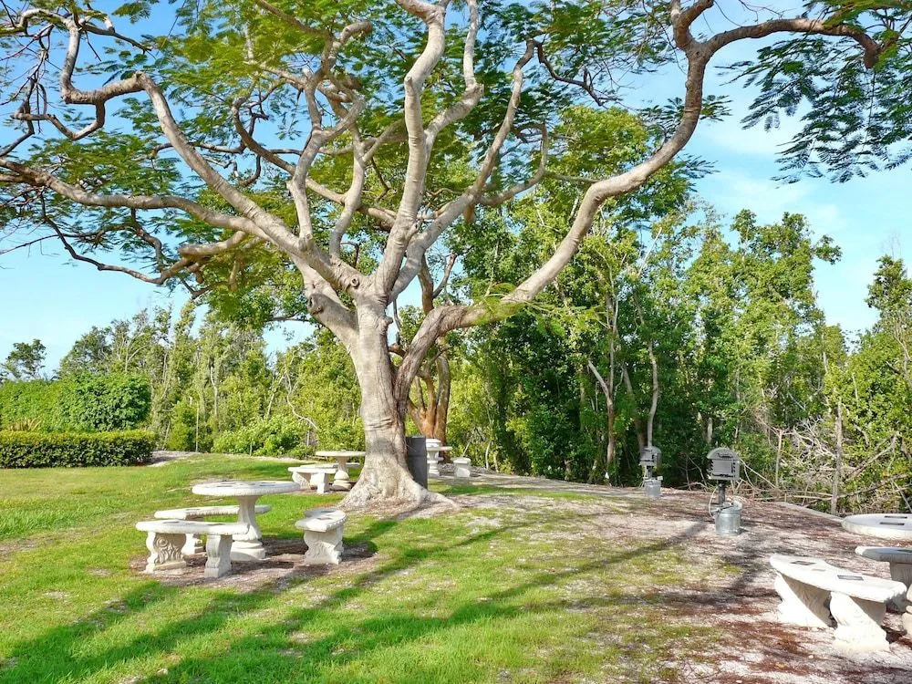 Sun-bright Beachfront Condo With Pool/tennis Courts