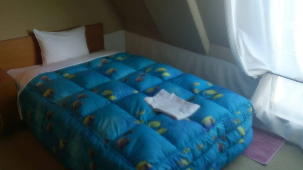 Select Inn Yaizu Ekimae