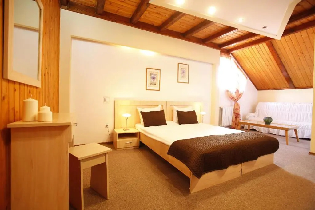 Hotel Roberto Sinaia