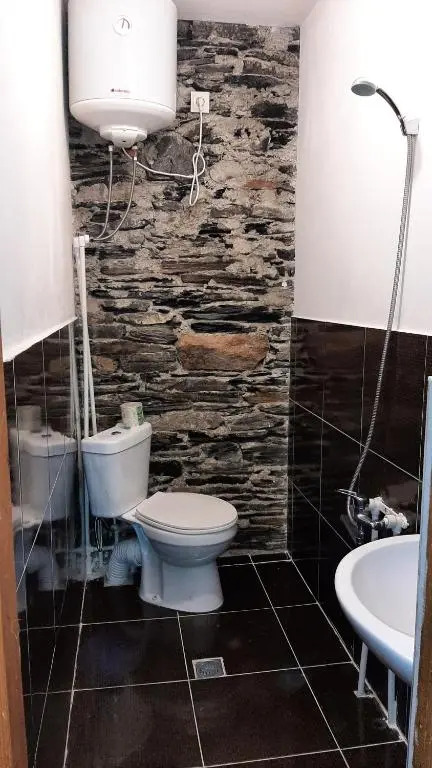 Guesthouse and restaurant SVANURI SAKHLI