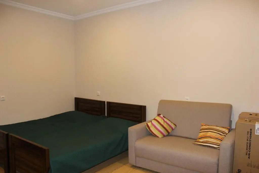 Comfortable Flat In The Center Of Borjomi
