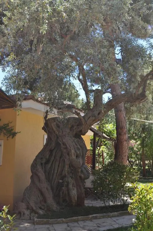 Lysistrata Bungalows
