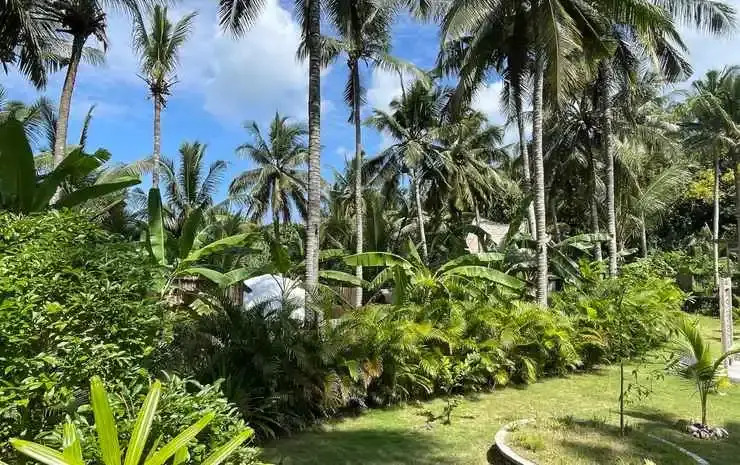 La Royale Nusa Penida