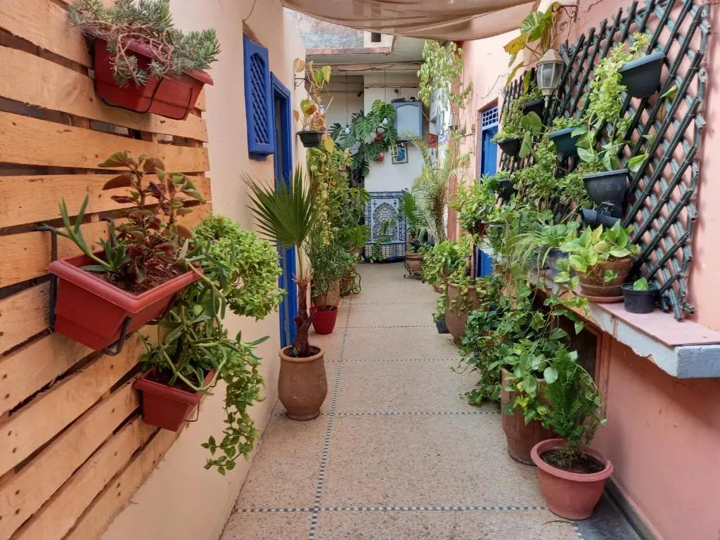 studio Dar Rmila