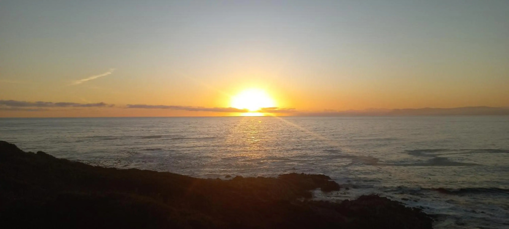 Whale Coast View