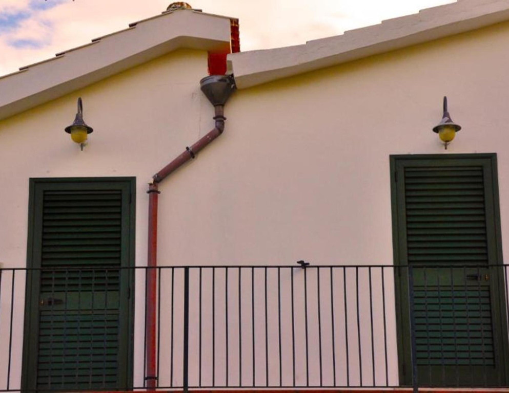 Rainbow Houses