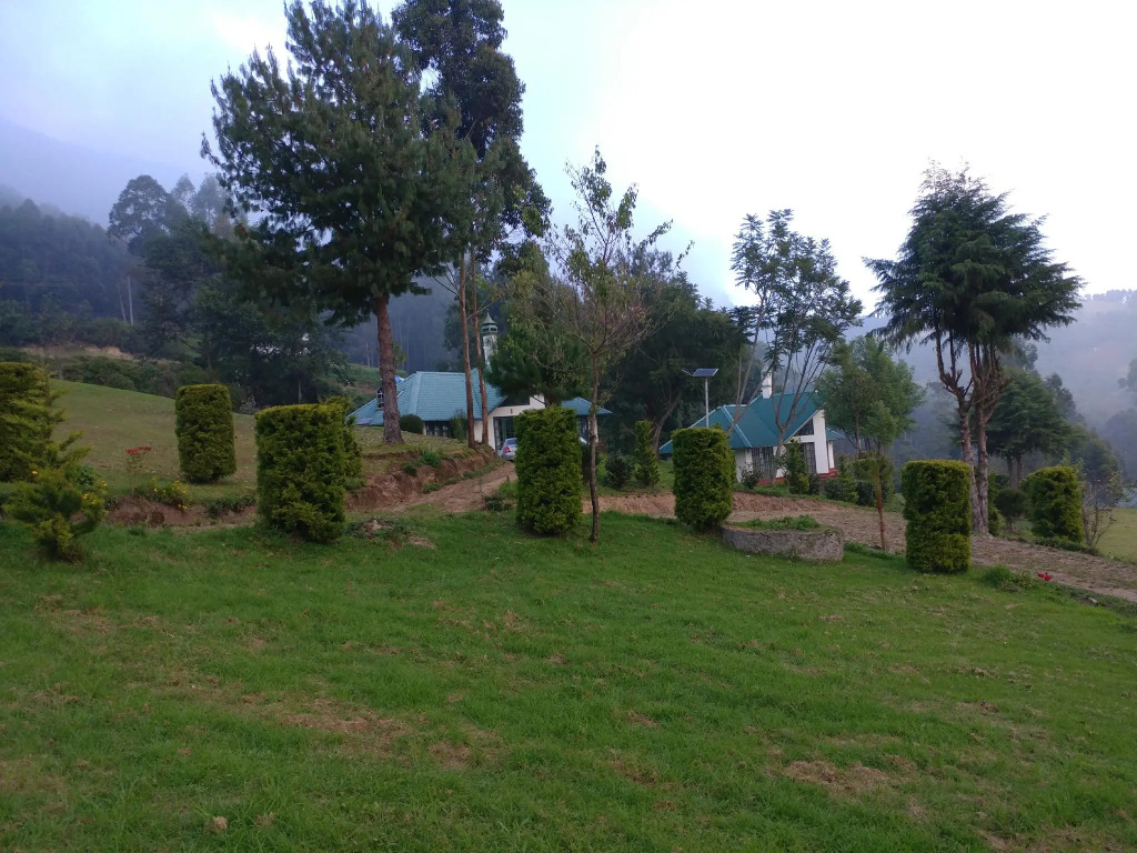 Camp Noel