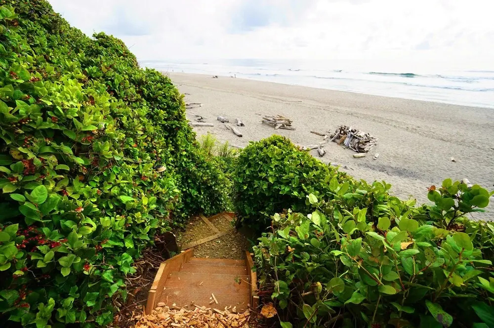 Salal Bluff