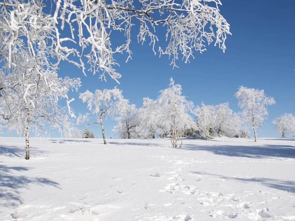 Bed & Breakfast Winterberg