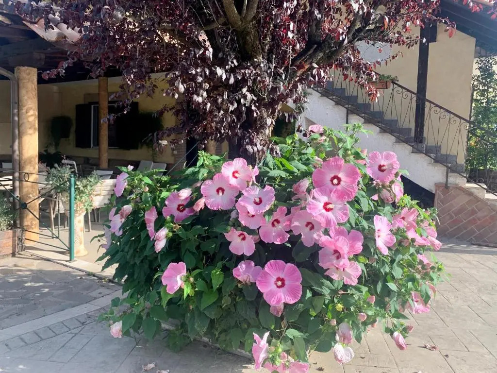 Residenza Cerci