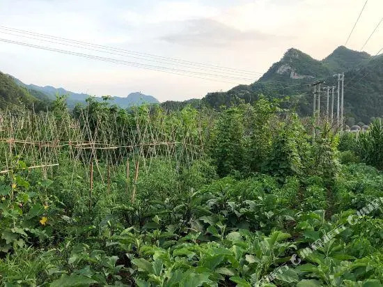 Liuli Shanshui Folk Restaurant