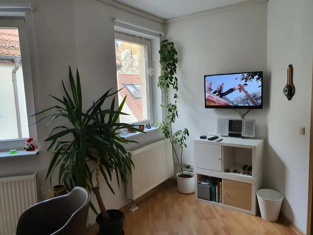 Helles 3 Raum Appartement DRAGO auf der Dominsel im Herzen der Stadt