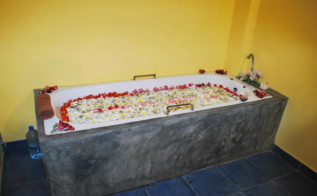 Ayurvedic Beach Resort