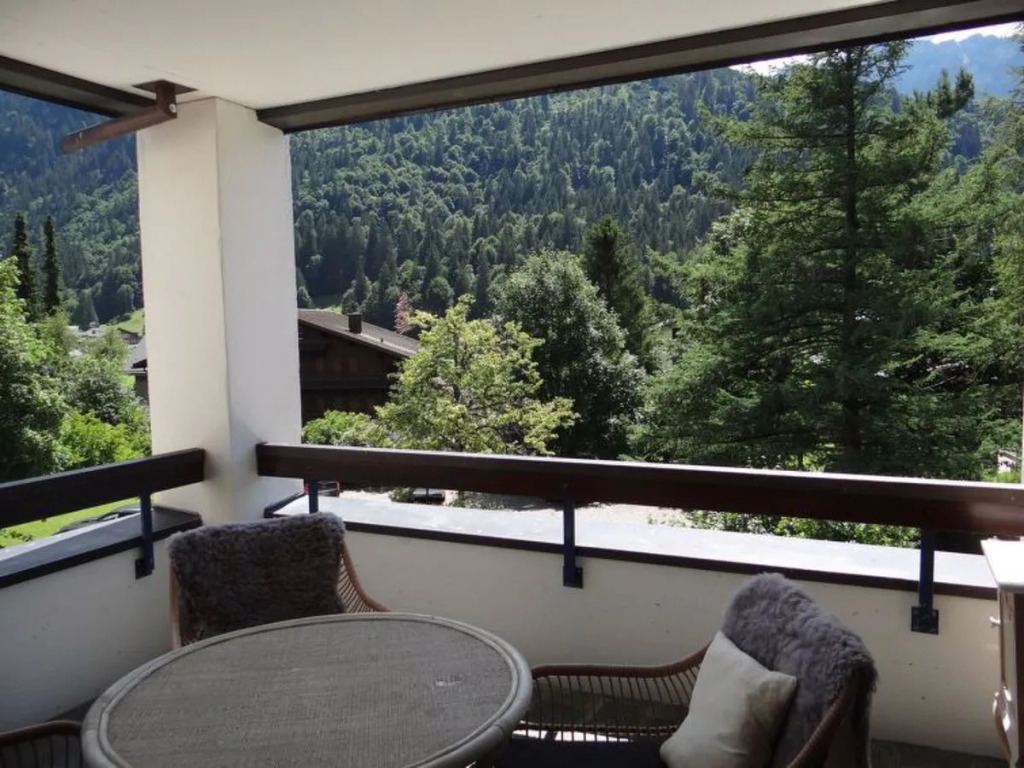 Apartment  Engelberg