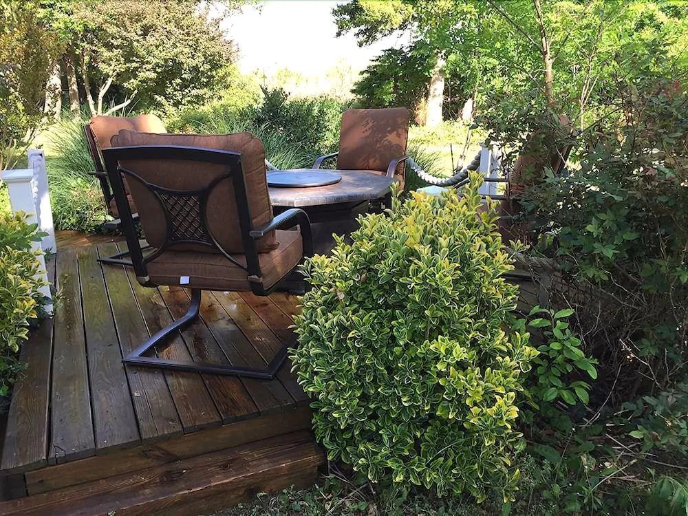 The Baywood Bed & Breakfast