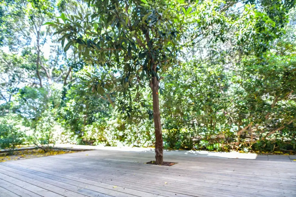 3 Bedroom Garden Apartment