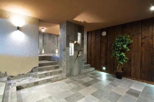 Hotel Lesana