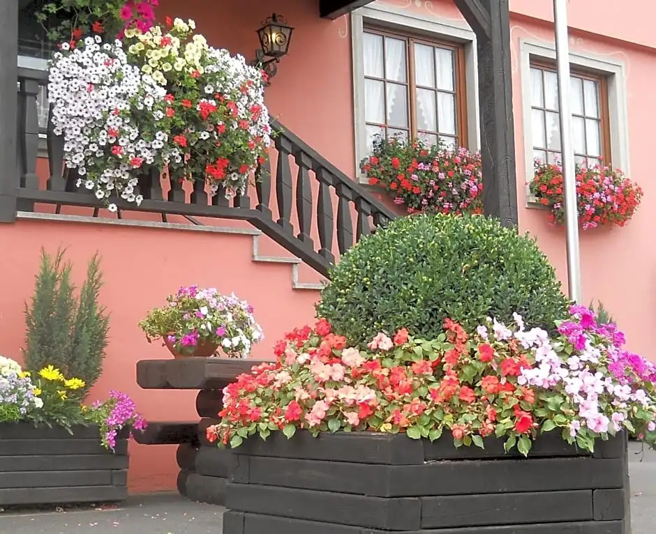 Hotel Schwarzes Ross