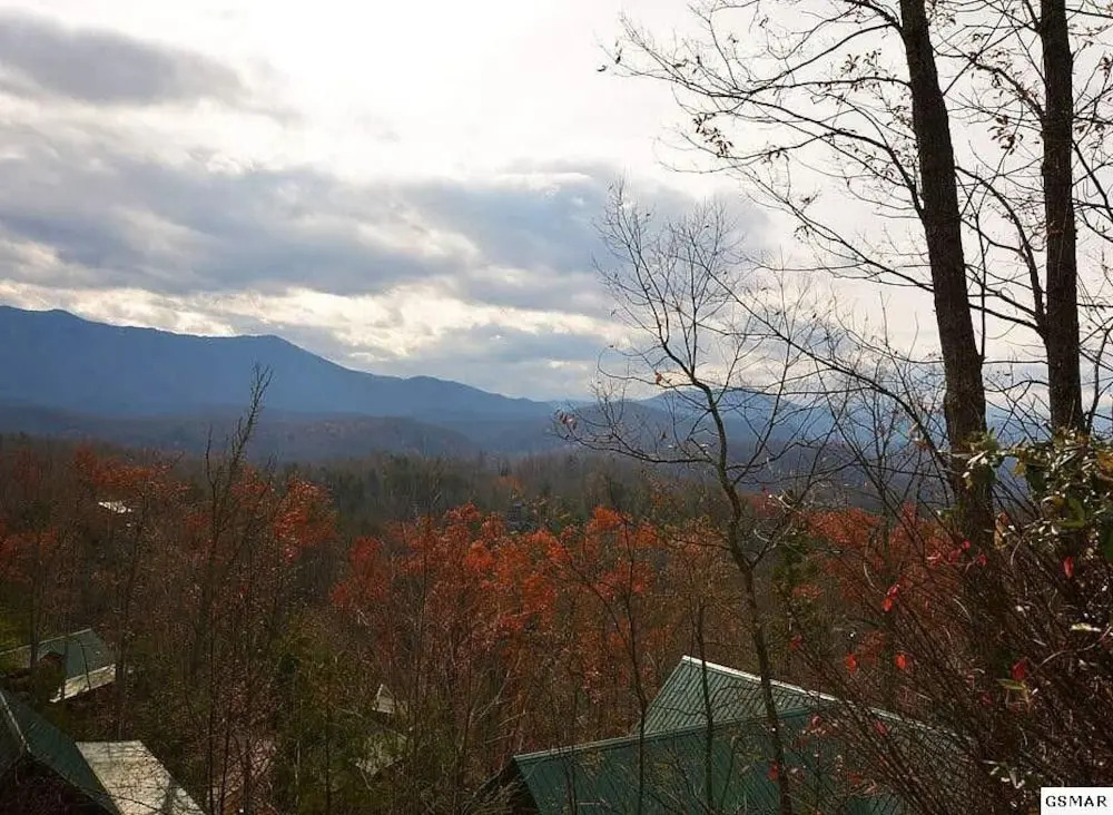 Some Peak Somewhere 3 Bedroom Cabin