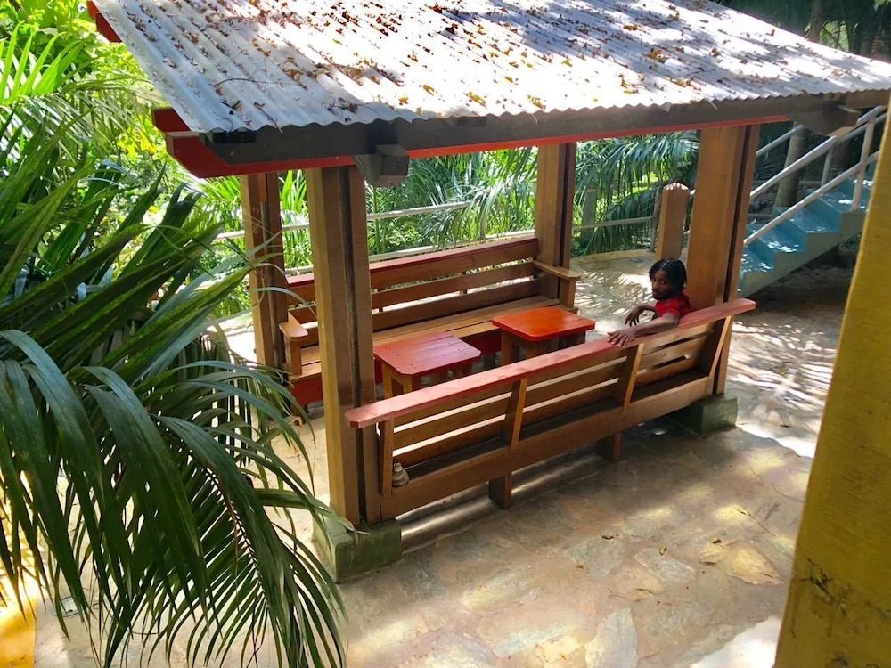 Mid-Century Style House