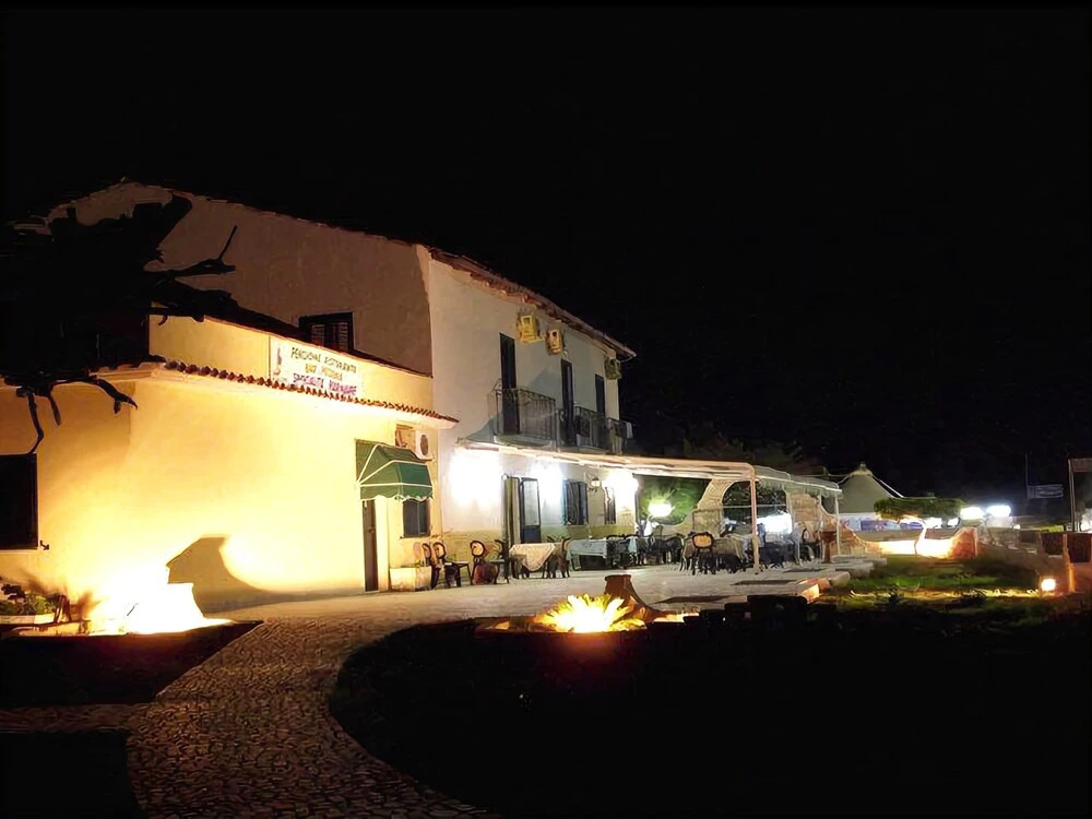 Vela Club