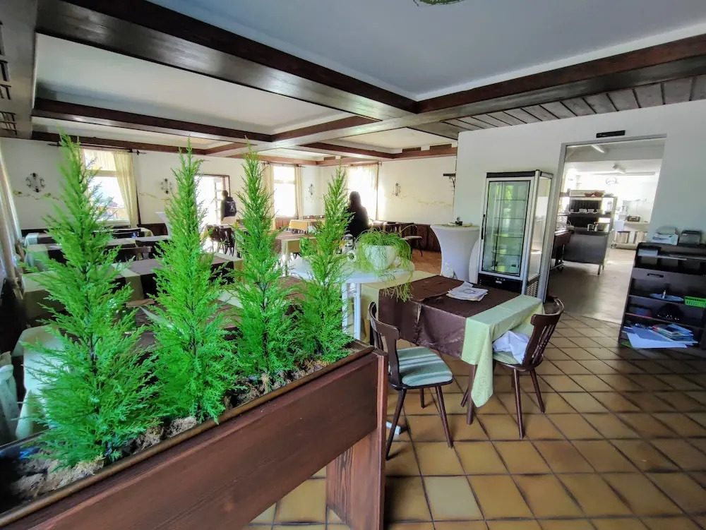 Room in Guest Room - Pension Forelle - Double Room No01