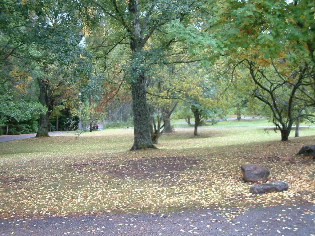 Aviemore Youth Hostel