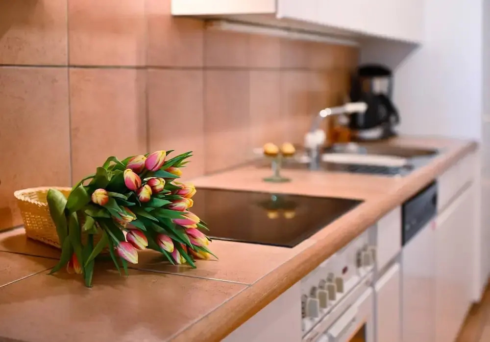Ruga Vacation Rental 3 in Ascona