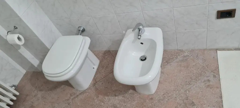 Jajo