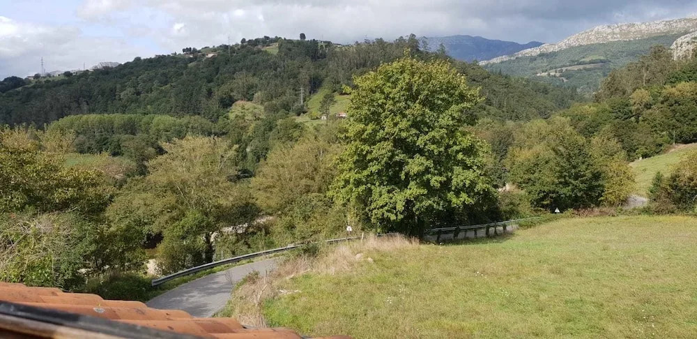 El Búho de la Remolina