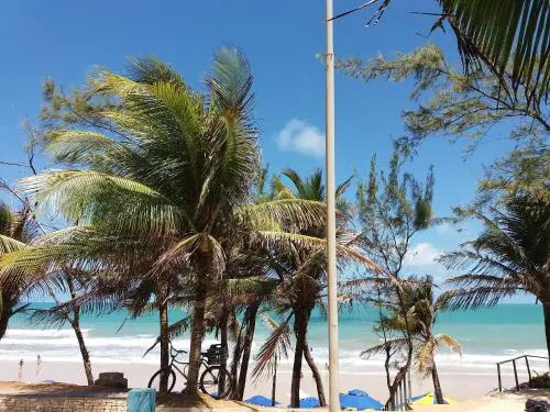 Araçá pé na areia