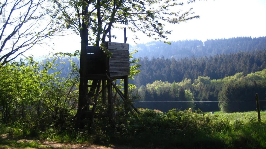 Ferienwohnung Erika