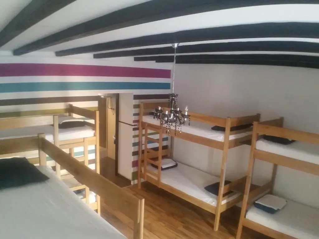 The Lazy Monkey Hostel & Apartments