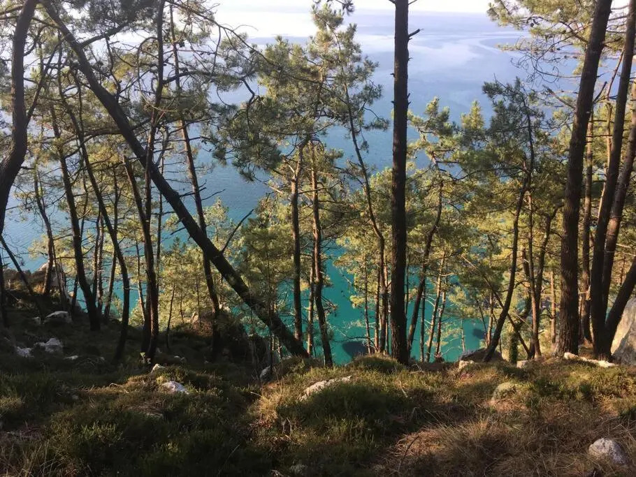 Nouveau ! La cabine du bout du monde PL08 -Le Creach, votre maison de vacances de haut standing