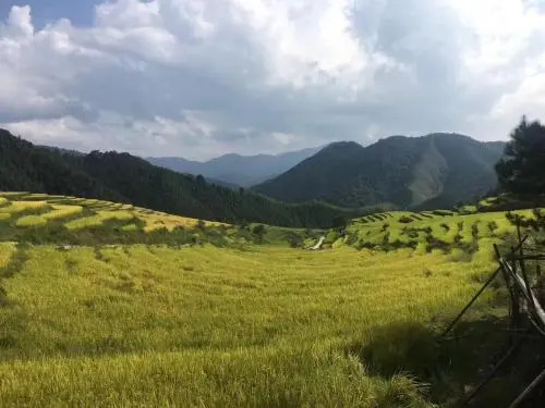 Lianshan Ojia Terrace Farmstay No. 15