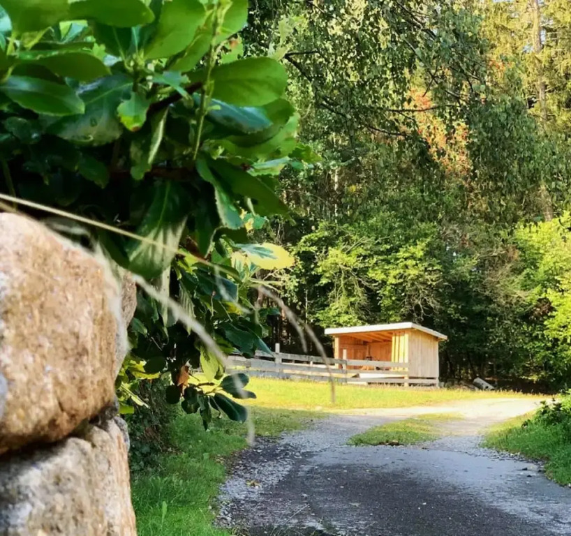 Landgasthof Blasini - Pfahlhof