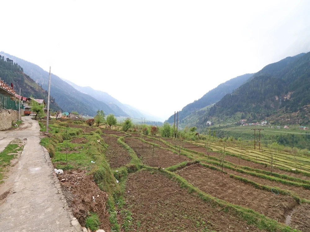 OYO 13697 Home Exotic Hill View Studio Naggar Road