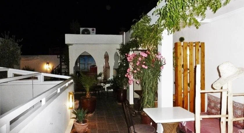Riad Safina