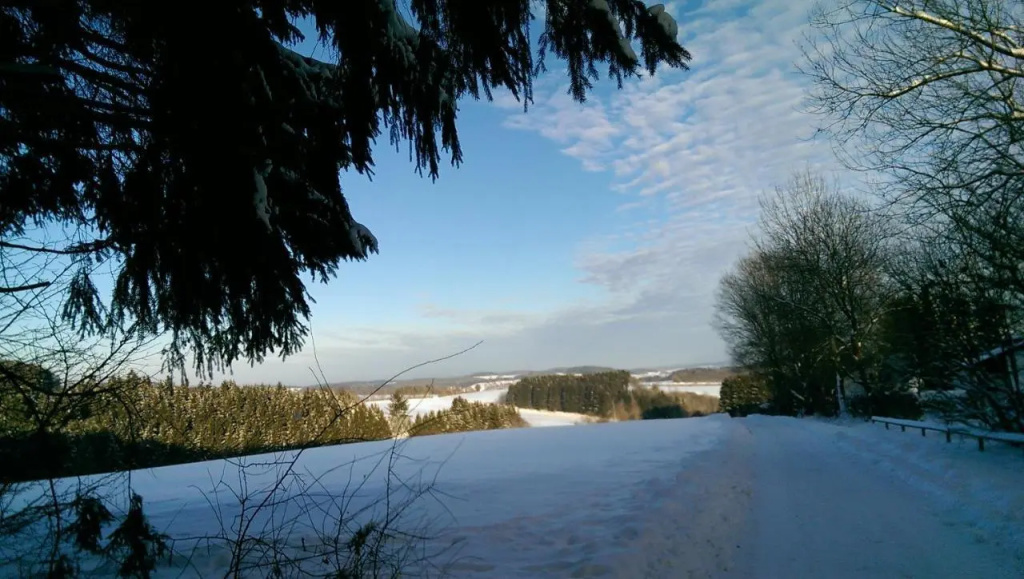 Haus am Wald