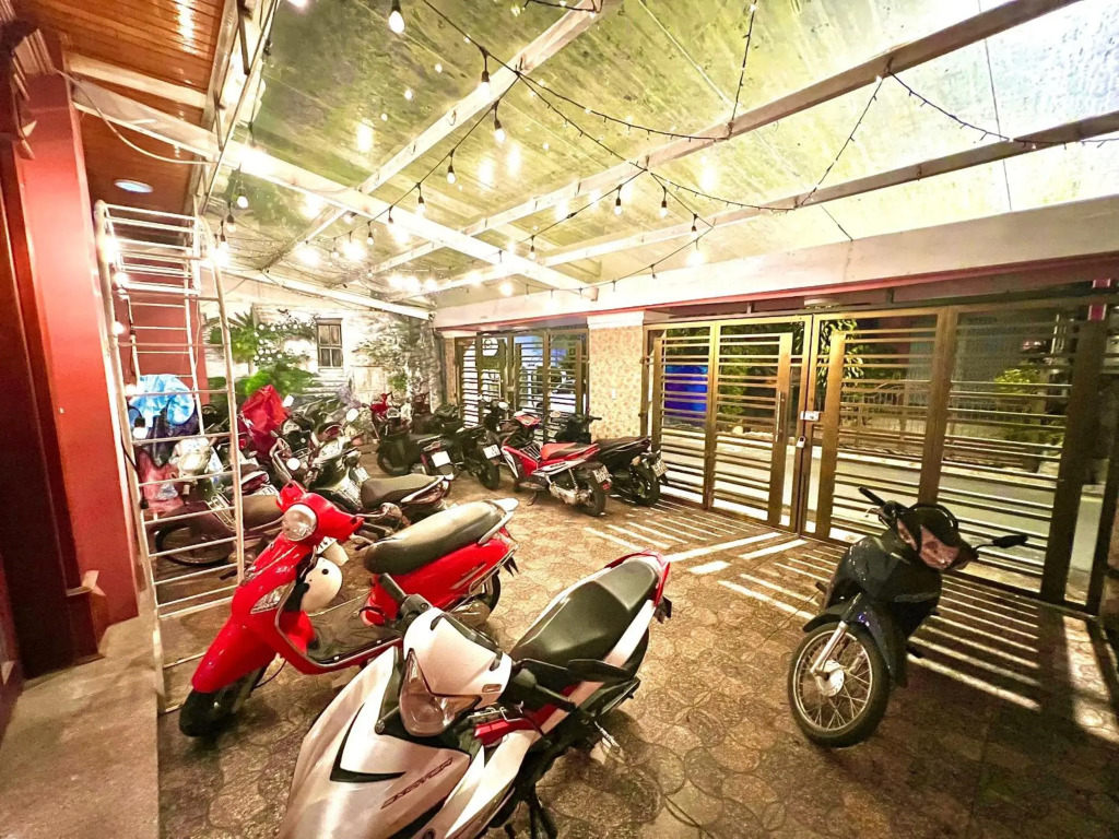 Nấm Home
