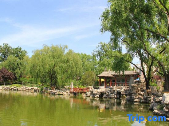 Zhun Ga Er Pearl Hotel