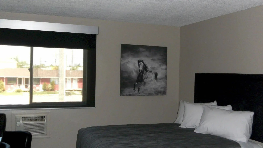 Stampeder Inn